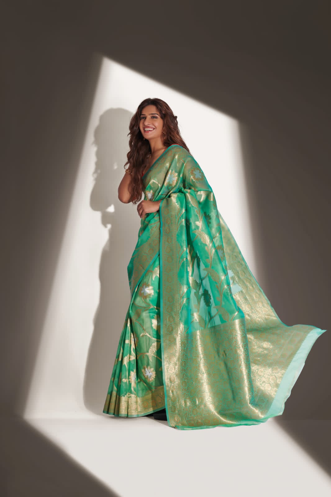 Rajyog Fabrics Alishya Silk 6506