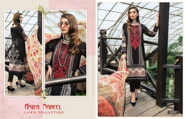 Asifa Nabeel Lawn Collection Vol-3 3001-3006 Series 