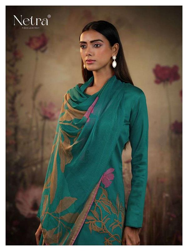 NETRA BARISH